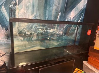 50 gallon fist tank with stand