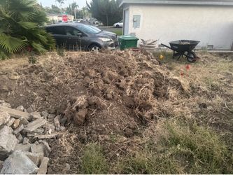 Fill Dirt