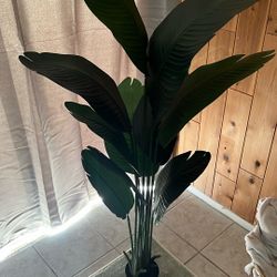 Fake Banana Leaf Plant