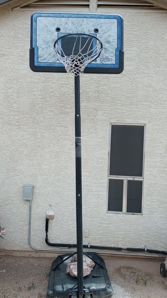Lifetime Brand Basketball Hoop