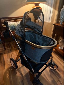 Pet Stroller