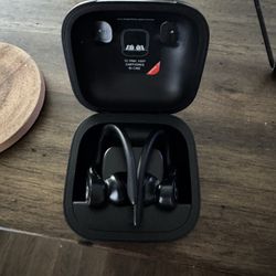 Beats Powerbeats Pro Earbud 