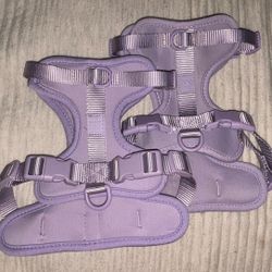 Wild One Harnesses And Collars