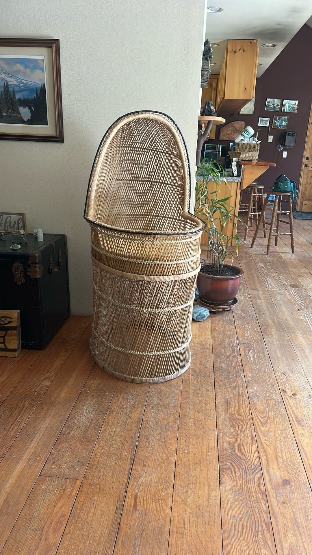 Vintage 1980 Baby Bassinet