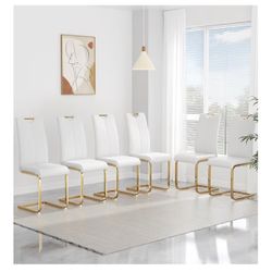 Modern dining chairs 