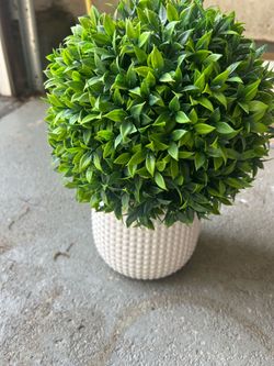 Artificial Boxwood Topiary in White Ceramic Pot 13" H