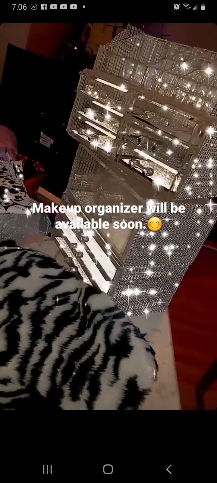 Makeup Organizer 