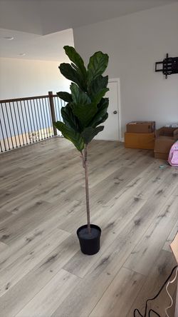 Tall Artificial Fiddle Leaf Fig Tree
