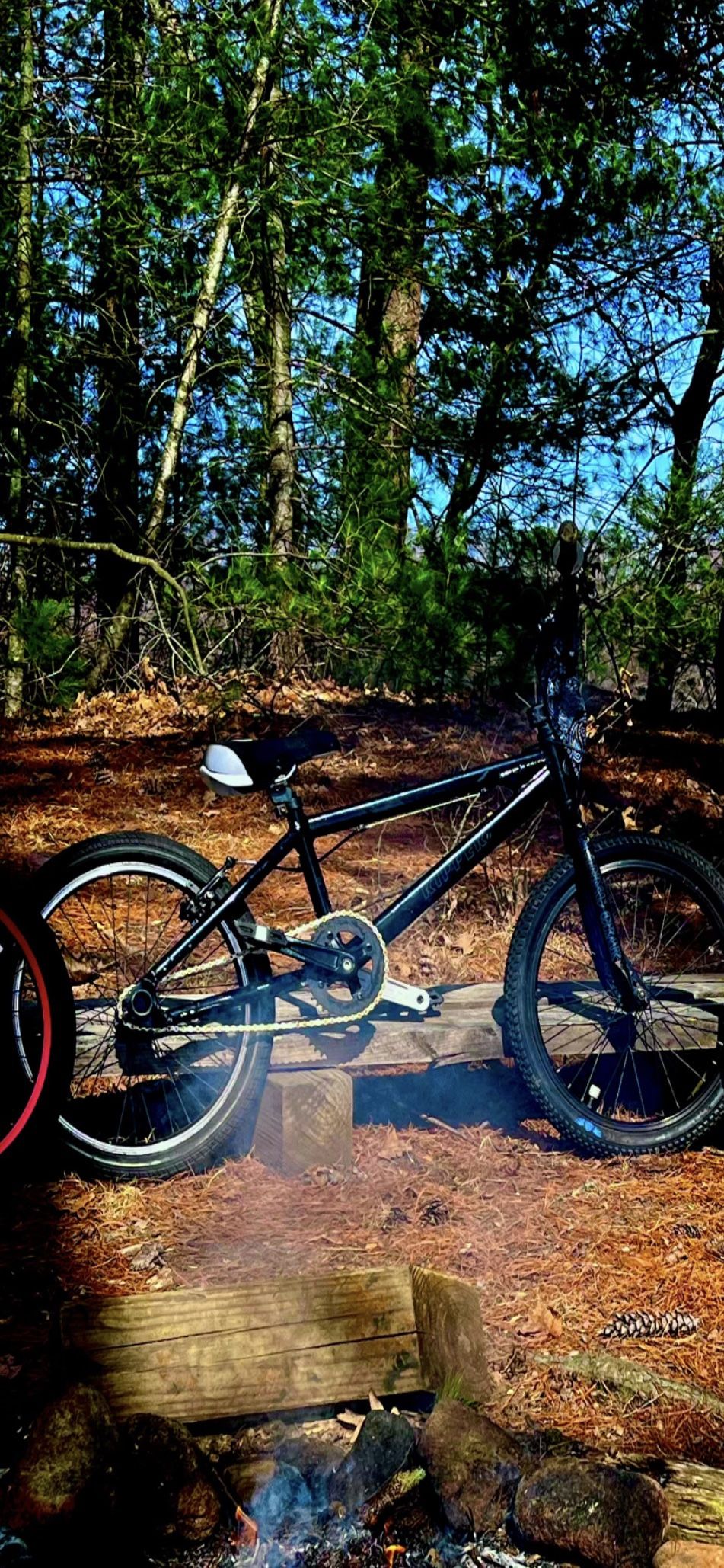 ripper se bike 20' (DESC)