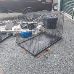 Dog Cage