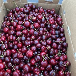 sweet fresh cherries $20 a box