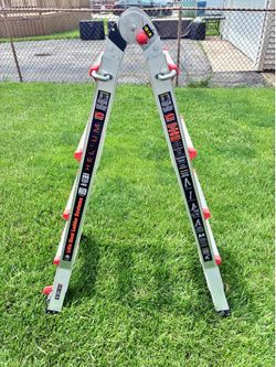 Little Giant Ladder