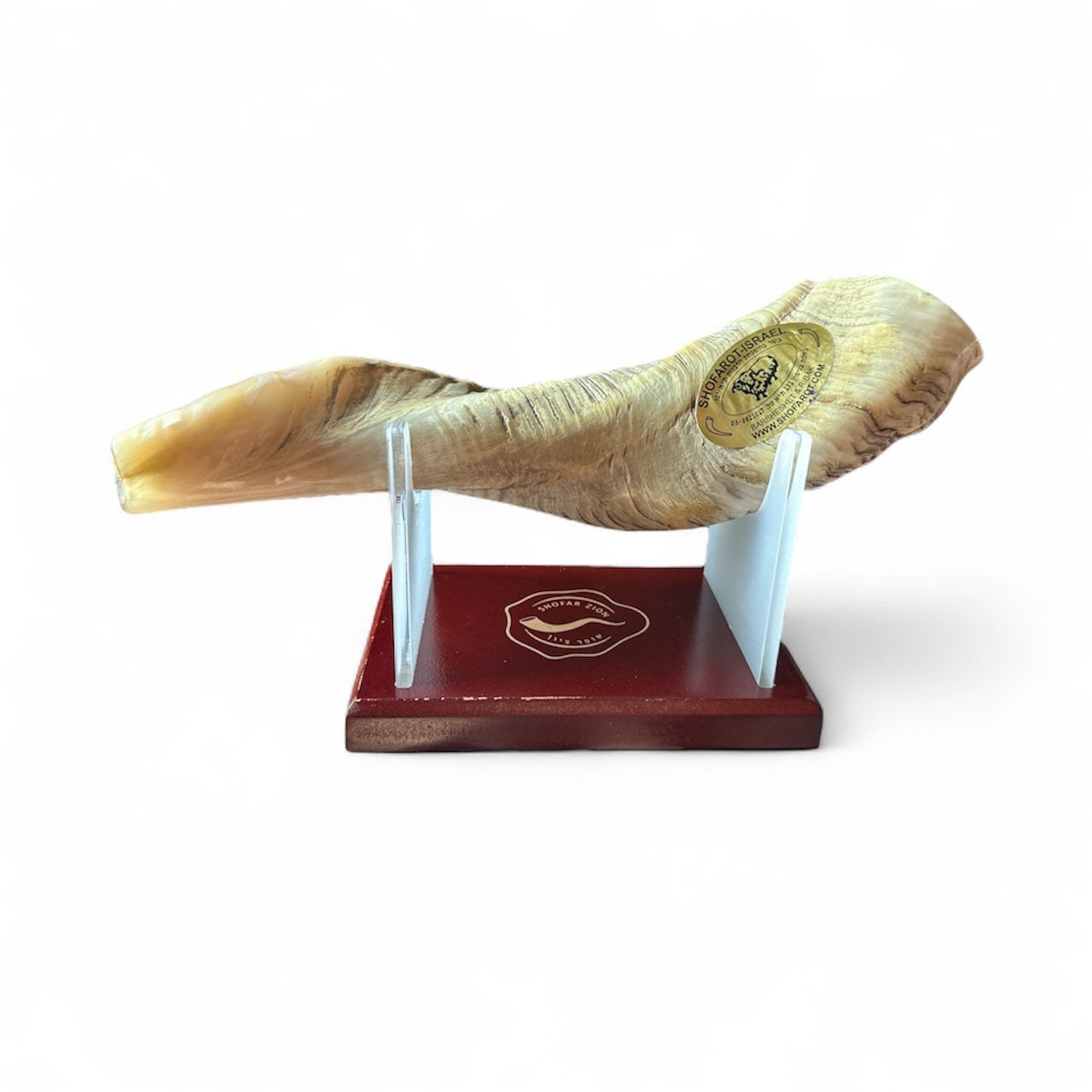 SHOFAROT-ISRAEL BARSHESHET & RIBAK Shofar