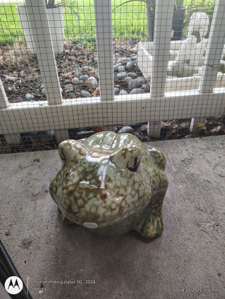 GARDEN FRIG FOUNTAIN AND DECORATION