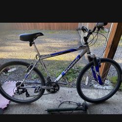 26’ Schwinn High Timber 