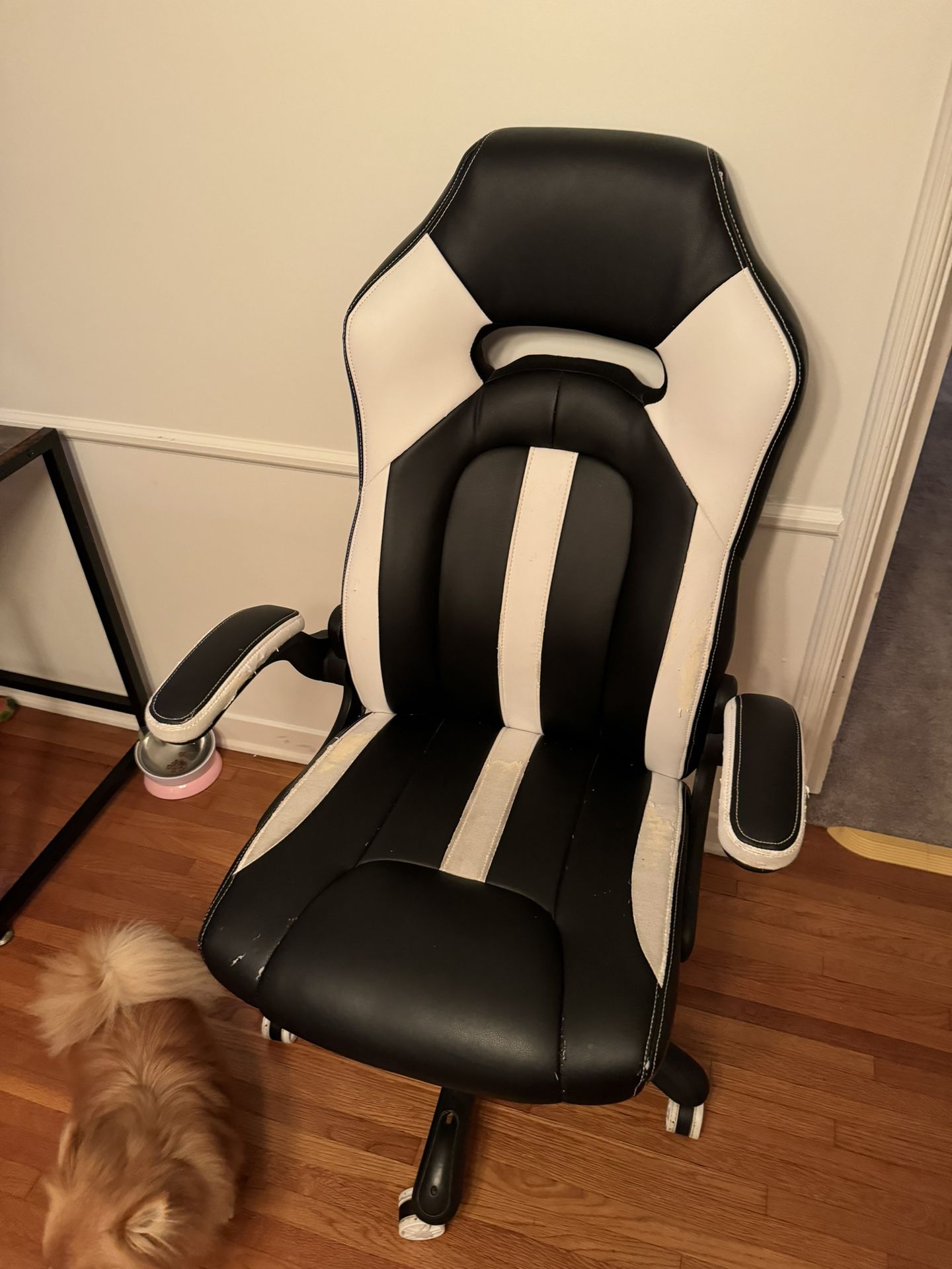 Gamer Chair 