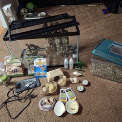 Fish Tank 10 Gallons 