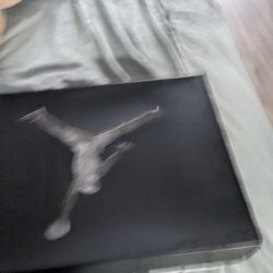 Size 12 Jordan 4 New In Box