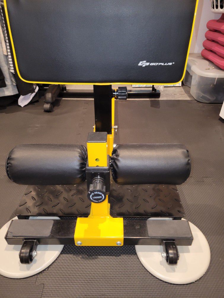 Sissy Squat  Machine With Multi Functions