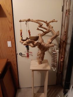 Bird stands