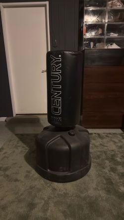 Kicking/Punching Bag