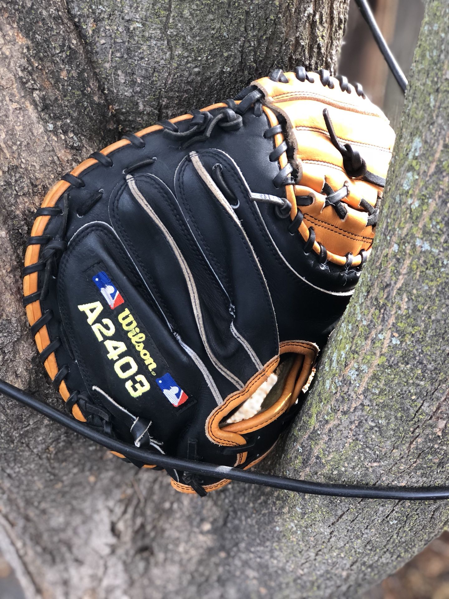 USA Wilson　A2000  a2403 pudge キャッチャーミット