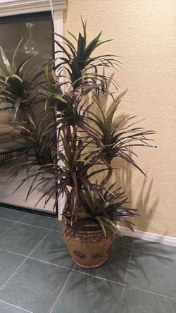 faux Dracaena or Yucca tree displayed in a rustic textured