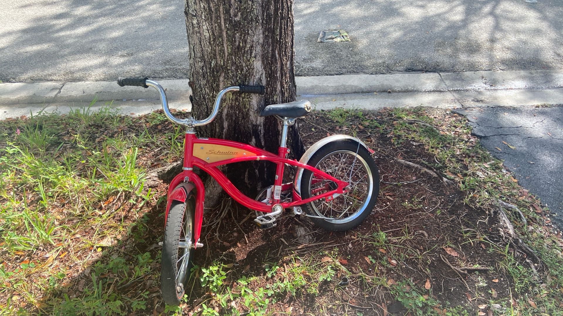 Schwann Bike, Perfect For Kids