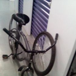 Beach Cruiser. 