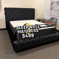 New Queen Bed Frame Witt Mattress 