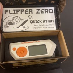 Flipper Zero and Developer Board