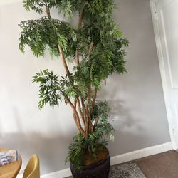 Artificial Ficus Tree 