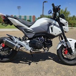 Super Clean 2018 Honda Grom