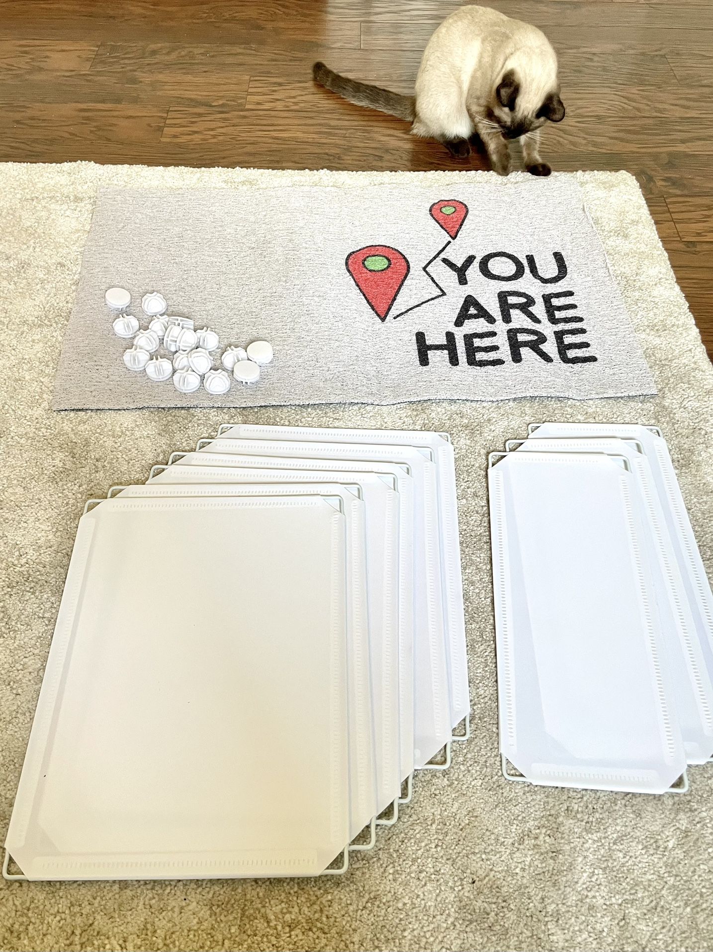 Cat Litter Box Enclosure with Mat