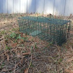 Small Animal Trap