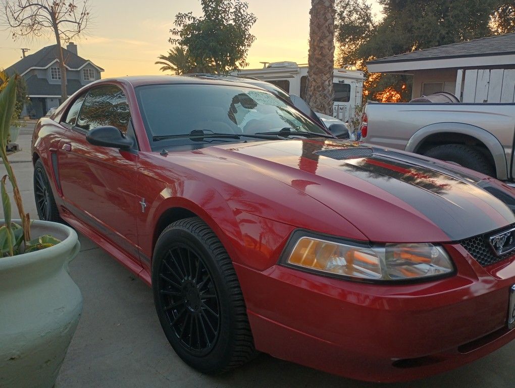 2000 Ford Mustang