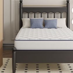 Avenco Pearl 6" Queen Size Medium Adult Supportive Innerspring Mattress