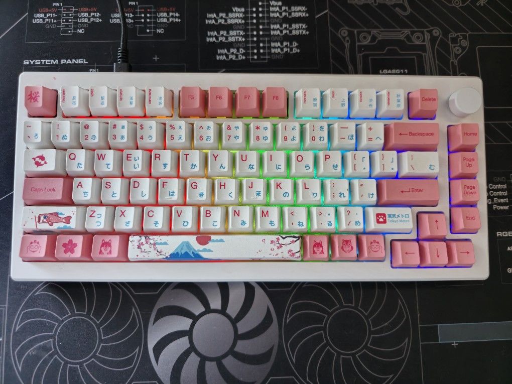 Akko Mechanical Keyboard