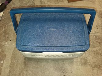 Coleman Portable ice chest with reusable ice packs