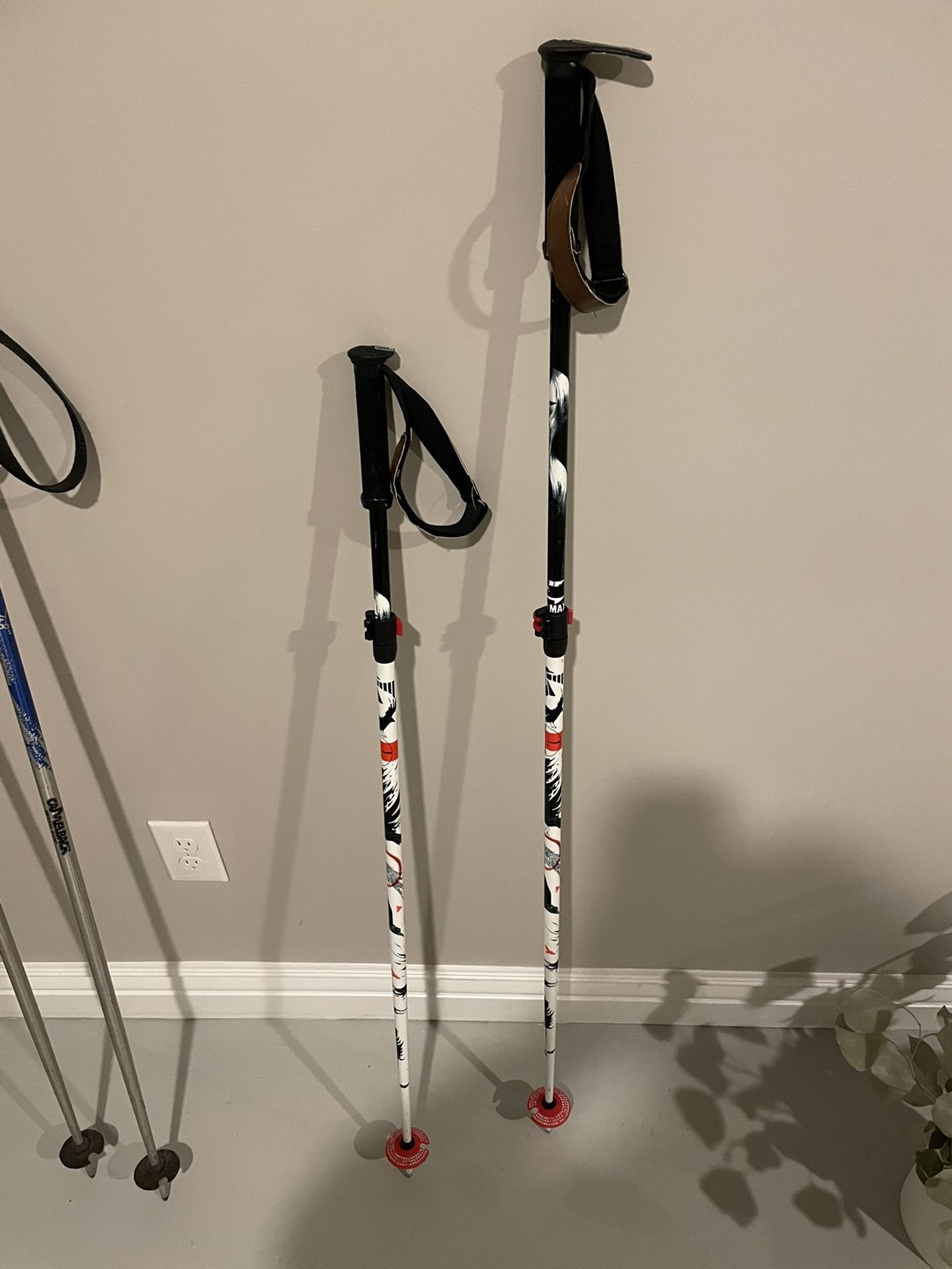Line Pollard’s Paintbrush Ski Poles 2016 (Adjustable 40-52in)