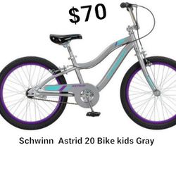 New Astrid Bike Kids Gray Blue 20 In