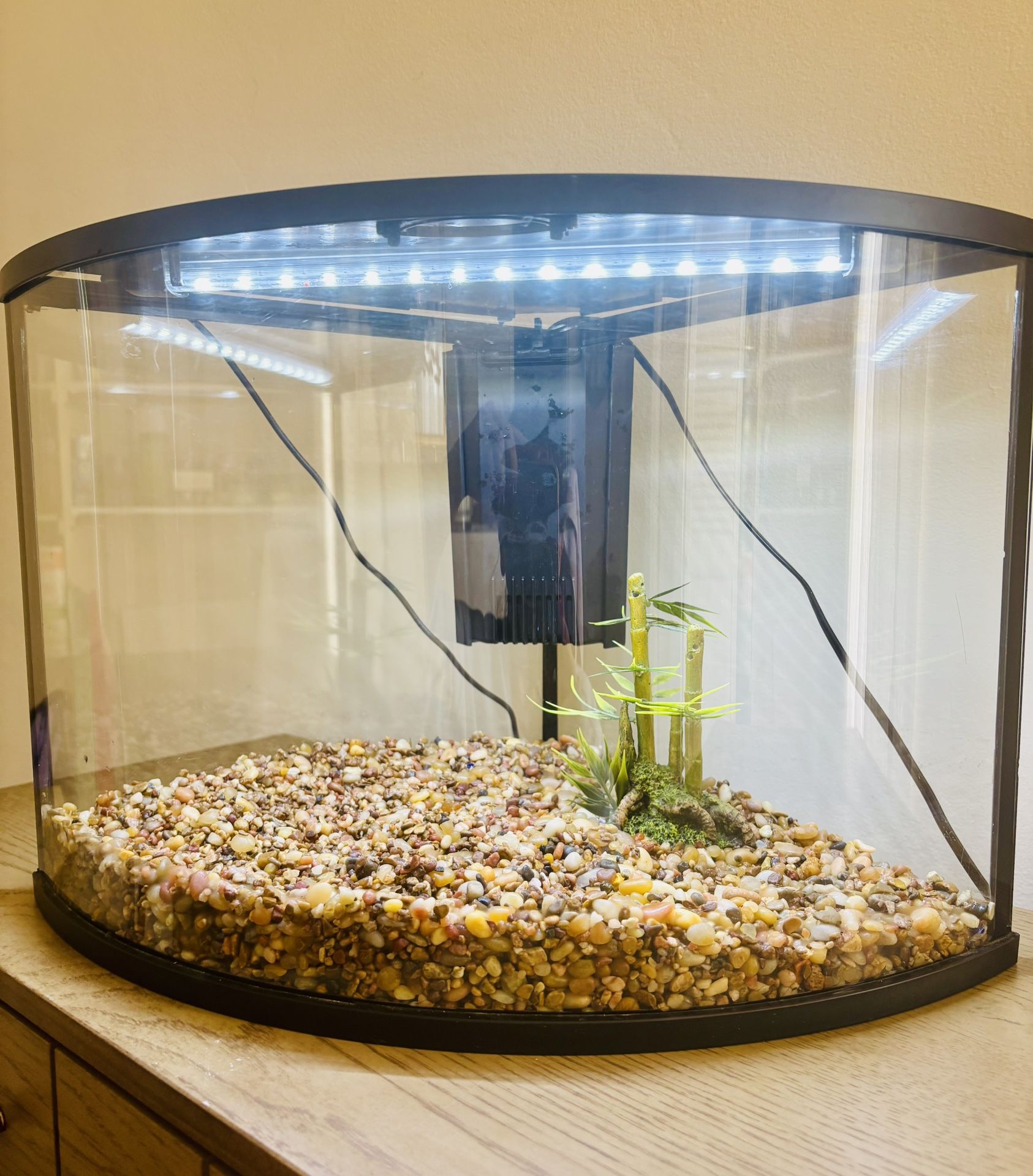 Nice Corner Aquarium