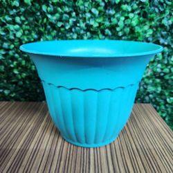 Caribbean Nursery Pot, 1 Gallon