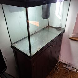 29gl Aquarium W/everything 