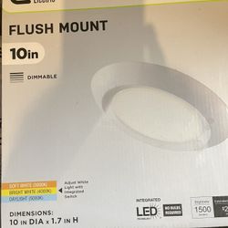 Commercial Electric 10-inch LED Flush Mount Light Fixture