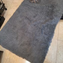 Gray Rug