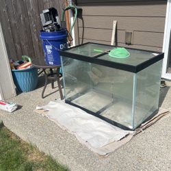 Fish Tank 