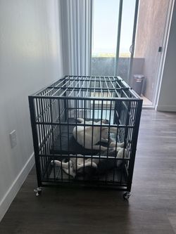 Rolling Dog Crate 