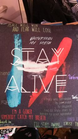 Brand new couch pillow