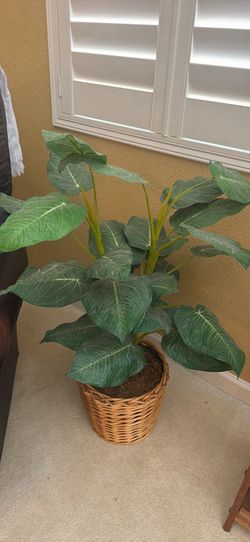 Artificial Plant